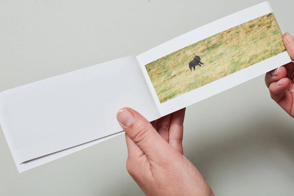 Sturtevant - Finite Infinite Flipbook