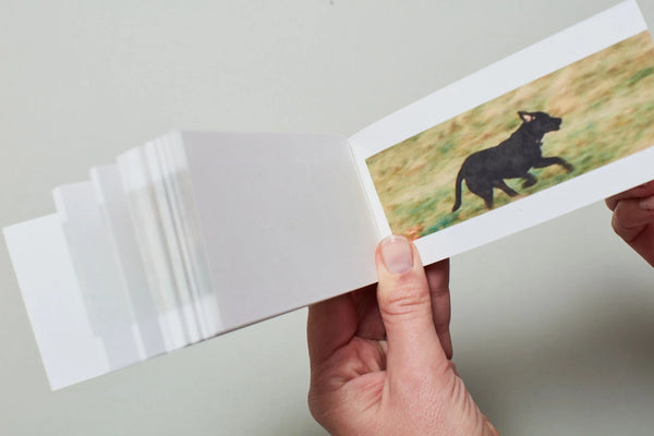 Sturtevant - Finite Infinite Flipbook