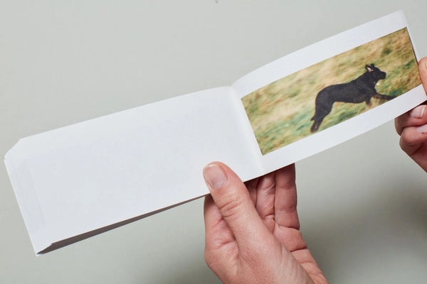 Sturtevant - Finite Infinite Flipbook