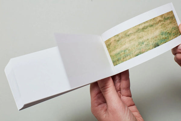 Sturtevant - Finite Infinite Flipbook
