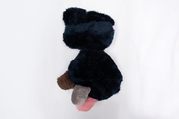 CFGNY - Family Member LV