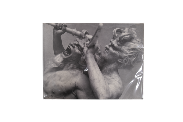 Matthew Barney, Drawing Restraint 7 book
