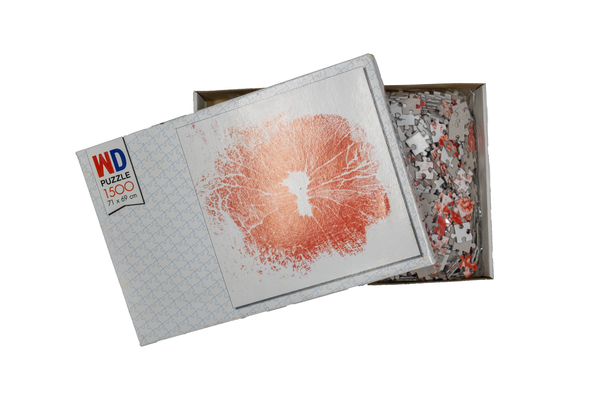 Wim Delvoye - Anal Kiss Puzzle