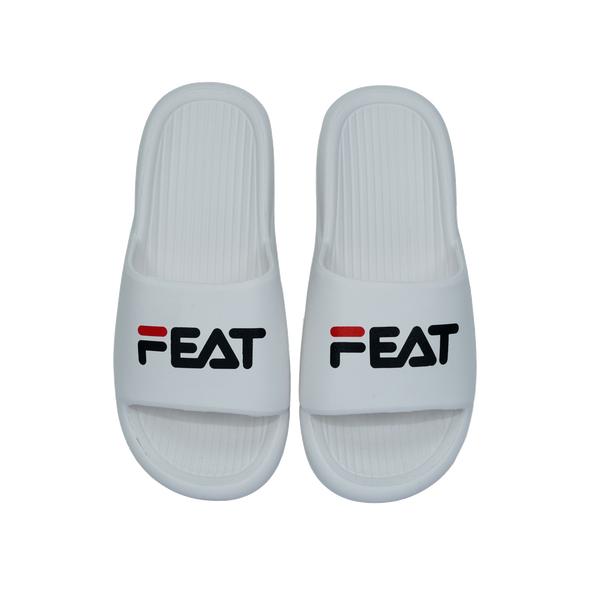 FEAT Slides / White